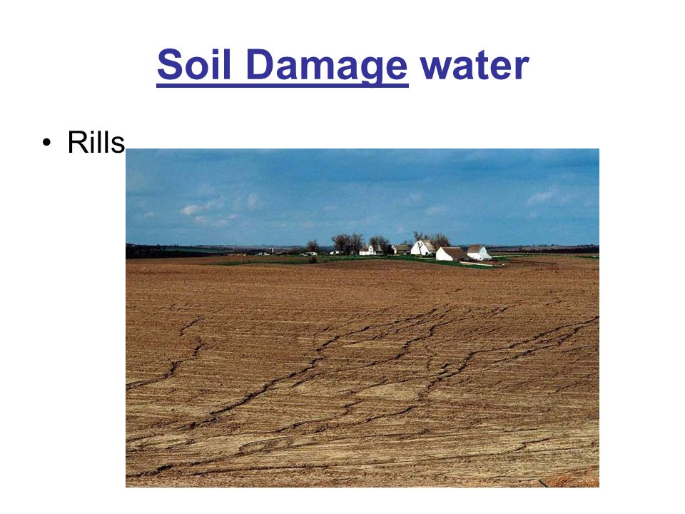 Soil Damage water Rills