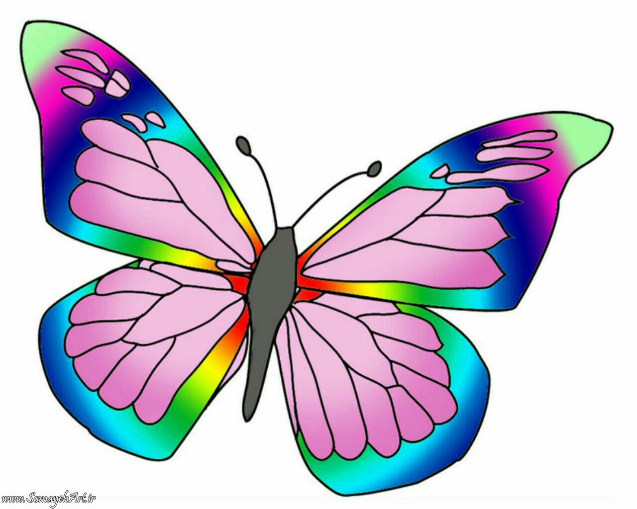 Распечатать цветной. Бабочки цветные. Бабочка рисунок. Бабочки для вырезания цветные. Цветные бабочки для детей.