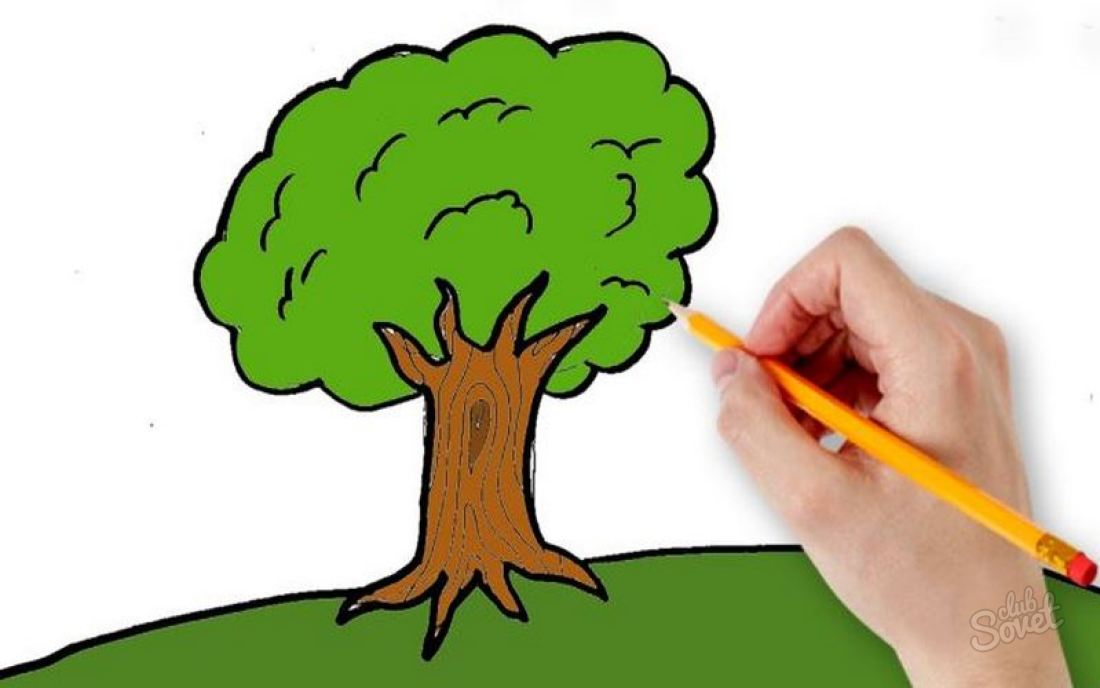 Включи tree. Нарисовать дерево. Дерево рисунок легкий. Дерево для рисования. Детские рисунки деревьев карандашом.