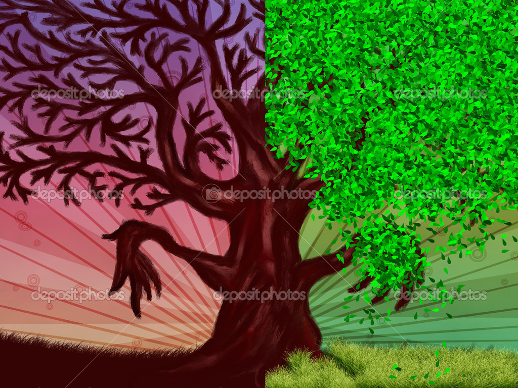 depositphotos 14675981 stock photo tree with leaves and leafless