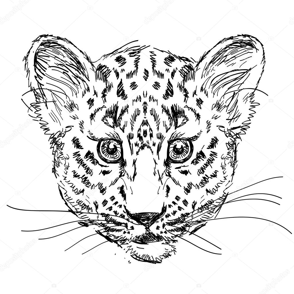 Морда леопарда для раскрашивания
