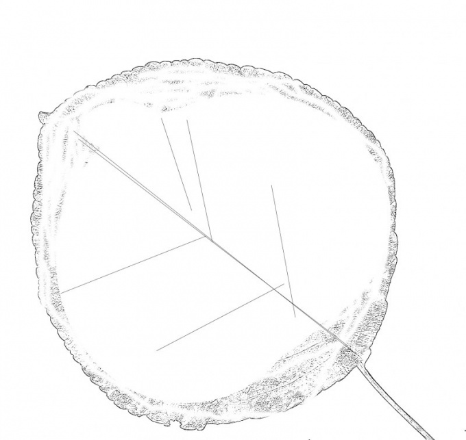 Нарисуйте симметричный круглый листик