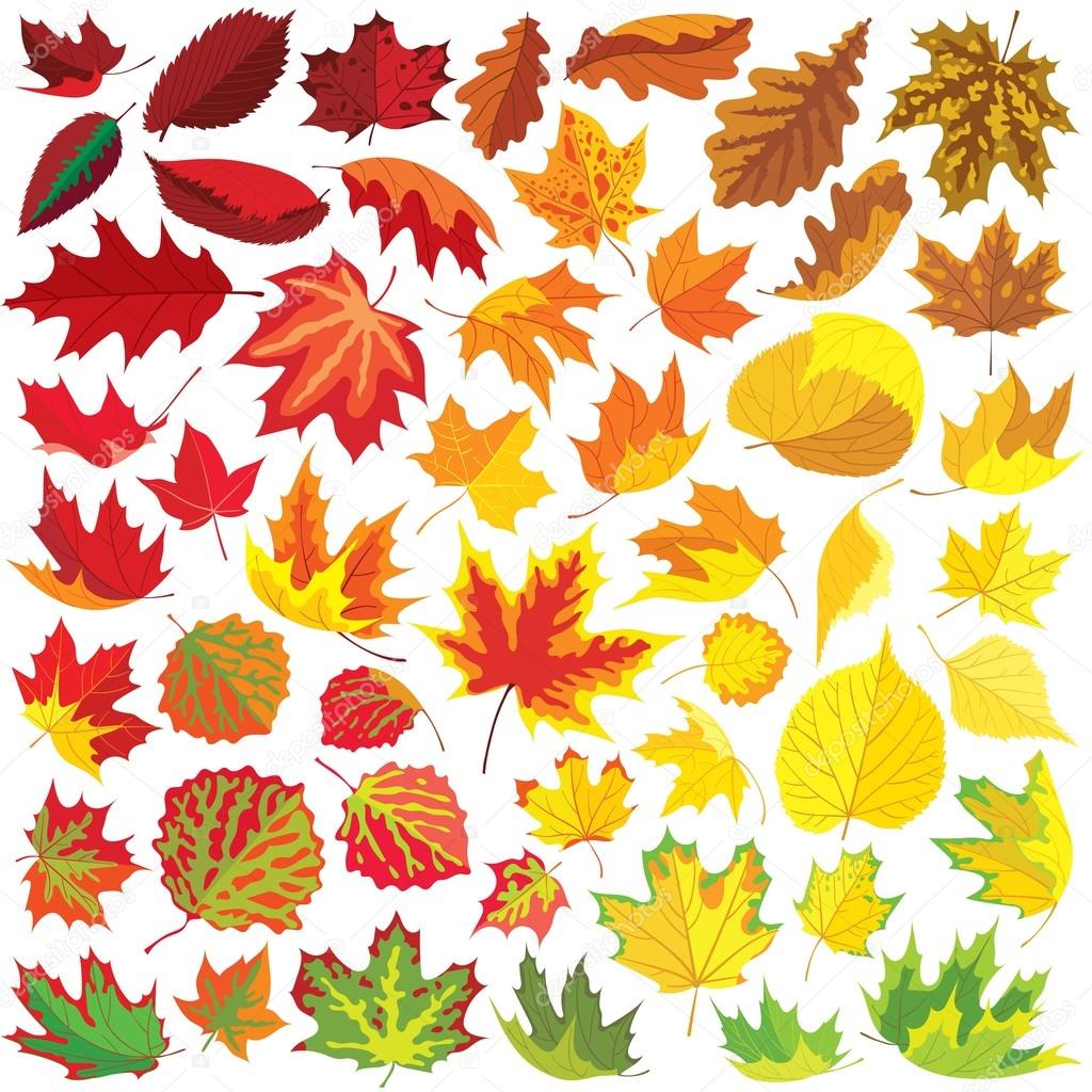Осенние листья для печати