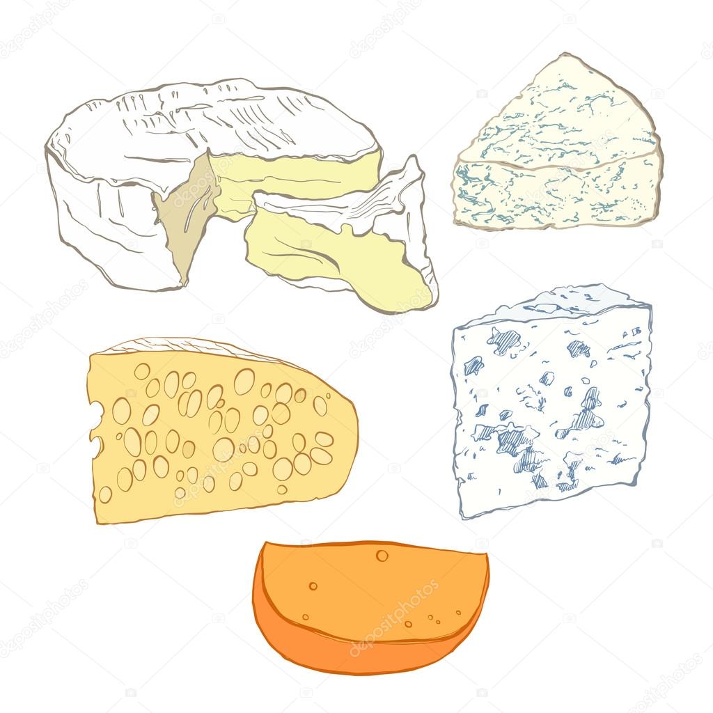 Сыр в разрезе вектор