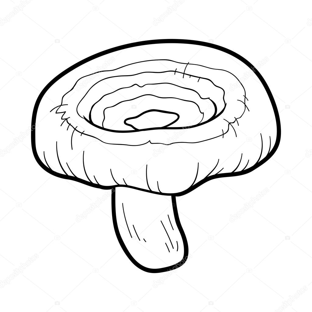 Волнушка гриб рисунок