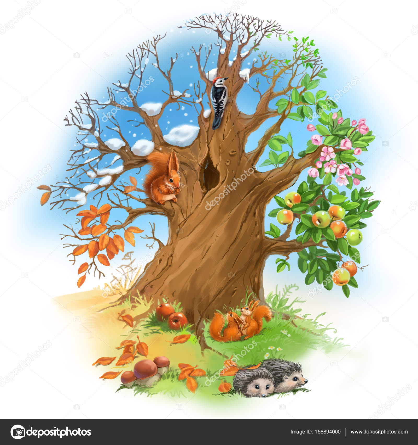 Картинка дерево поры года