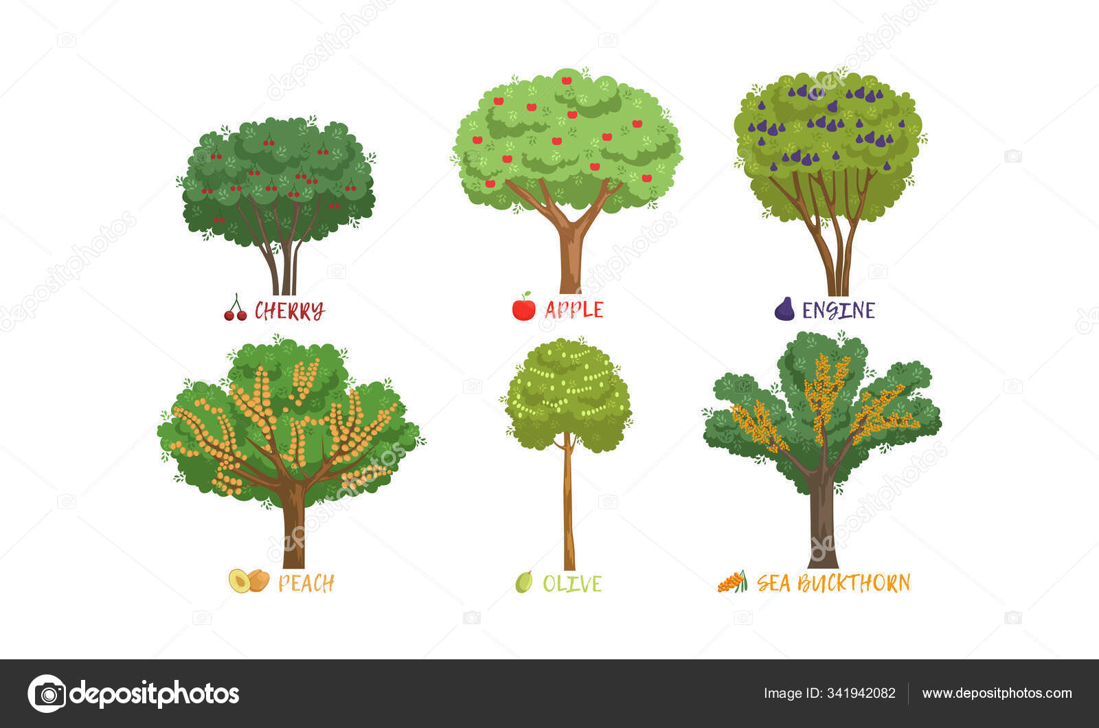 деревья названия и картинки каждое дерево
