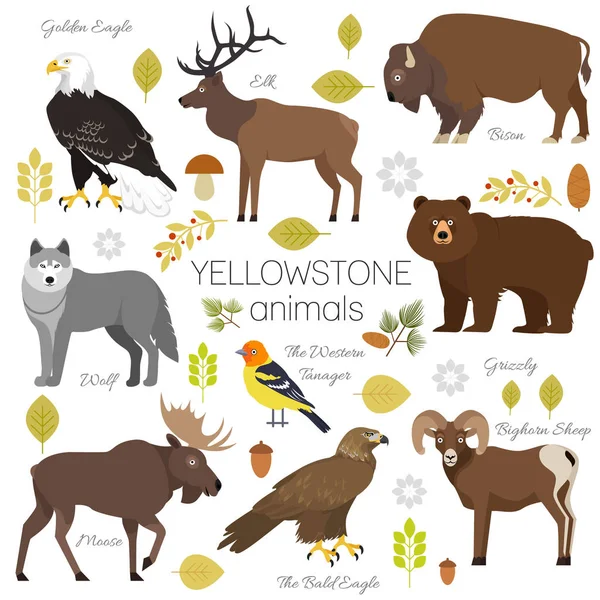 Yellowstone National Park animals set grizzly, moose, elk, bear, wolf, golden eagle, bison, bighorn sheep, bald eagle, western tanager, isolated on transparent background vector illustration. Stock Vector