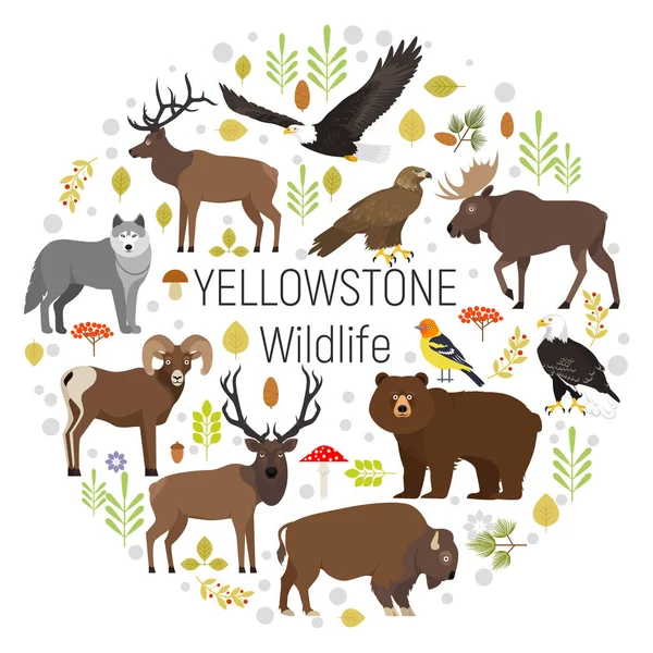 Circle vector set of plants and Yellowstone National Park animals grizzly, moose, elk, bear, wolf, golden eagle, bison, bighorn sheep, bald eagle, western tanager, isolated on transparent background Royalty Free Stock Vectors