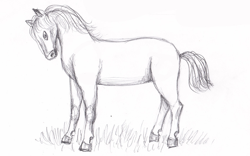 Лошадка 5 класс. Лошадь карандашом. Лошадь карандашом для детей. Лошадь рисунок карандашом. Рисование лошади 4 класс.