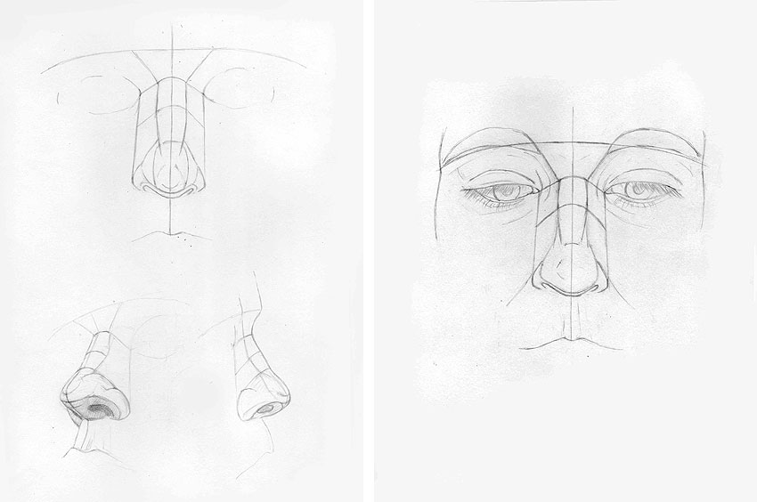 Академический рисунок носа поэтапно