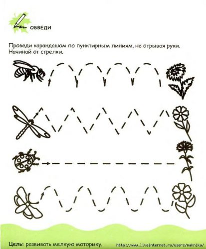 детям о растениях обведи пунктирную линию