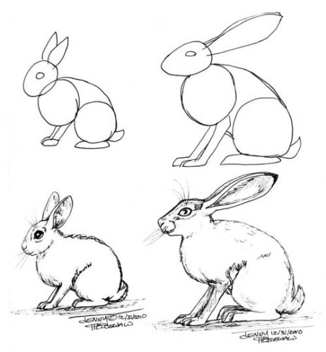 заяц картинки для детей нарисованные4