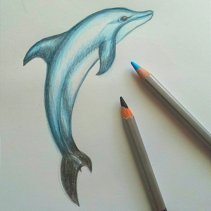 Как легко можно нарисовать дельфина
