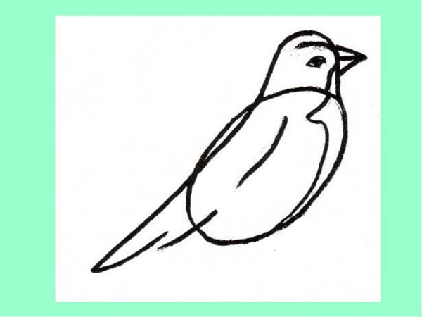 Как нарисовать птицу поэтапно карандашом