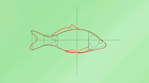 Как легко нарисовать реалистичную рыбку - Шаг 4