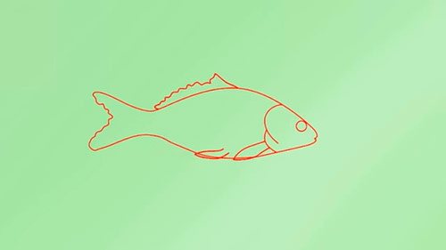 Как легко нарисовать реалистичную рыбку - Шаг 5