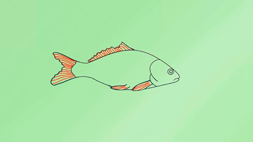 Как легко нарисовать реалистичную рыбку - Шаг 7