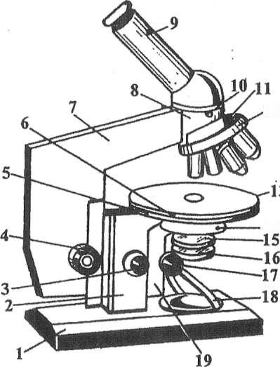 Схема рисунок микроскопа