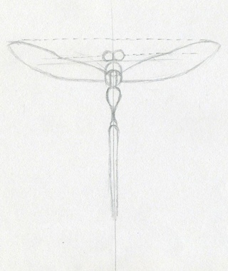 Нарисовать стрекозу для детей карандашом поэтапно