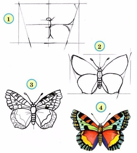 Babochki Risovat Kak Narisovat Babochku