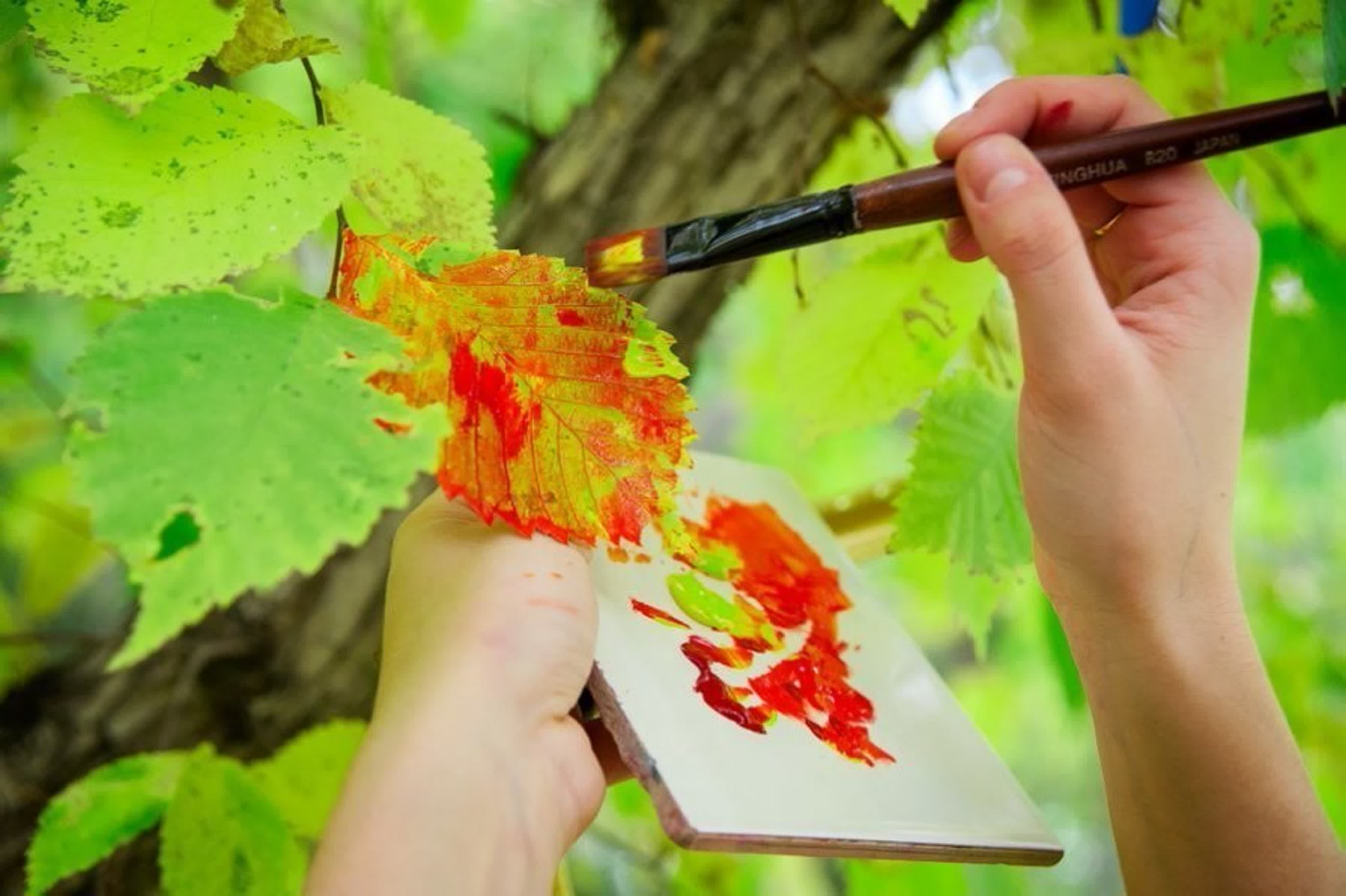 Листья красками