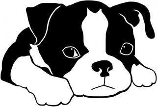 Собака черно белая картинка
