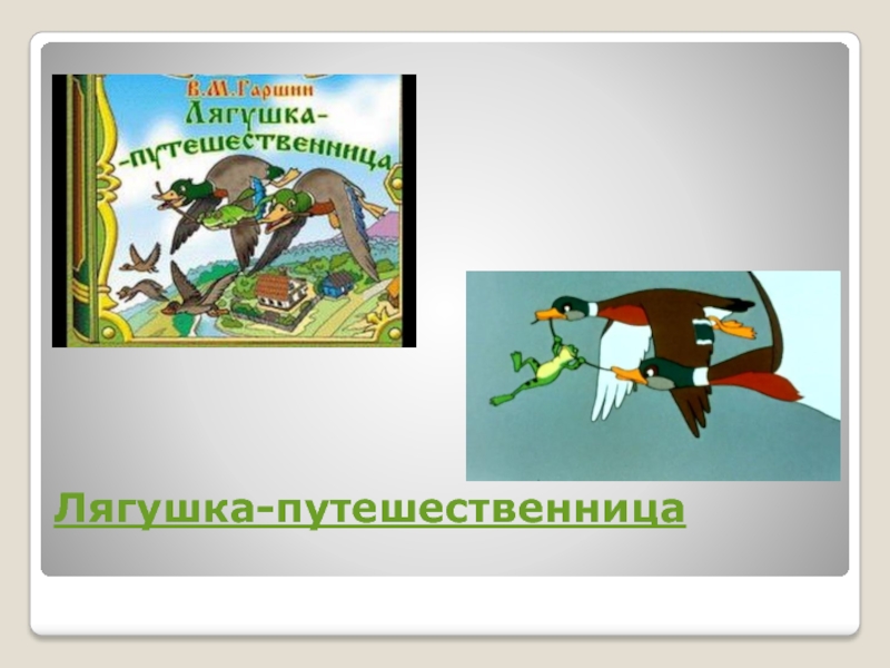 Читательский дневник лягушка. Лягушка путешественница диафильм. Кратчайшее содержание сказки лягушка-путешественница. Диафильм к сказке лягушка путешественница. Сюжет лягушка путешественница.