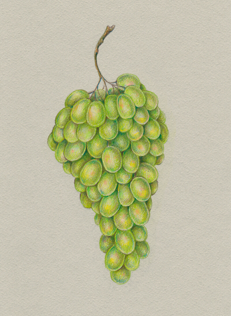 Add yellow and pink to the grapes