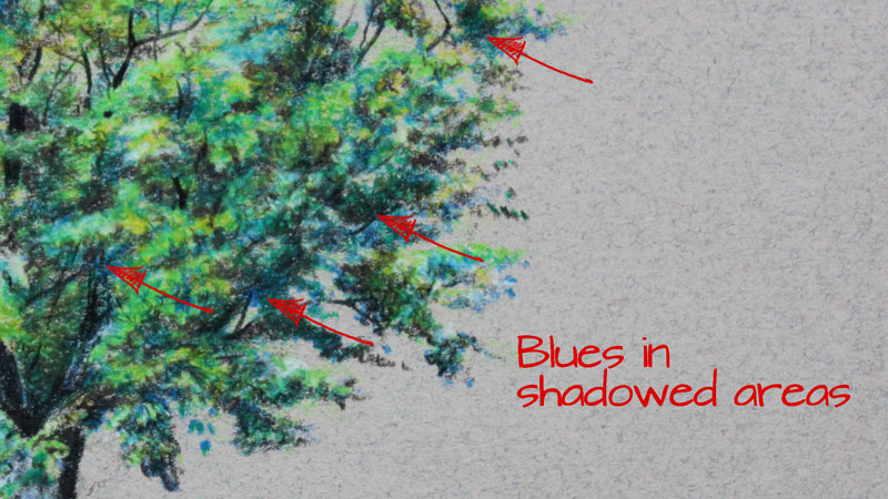 Blue in shadowed areas
