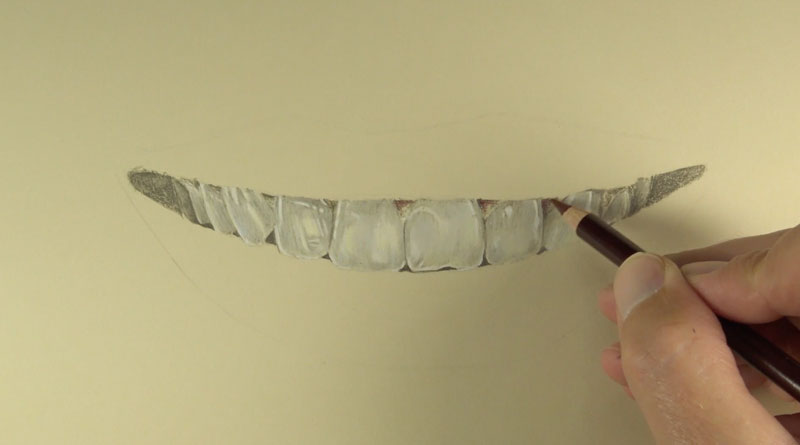 Drawing the teeth with colored pencils