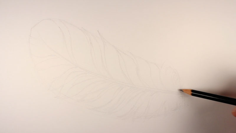 Drawing the smaller shapes of the feather