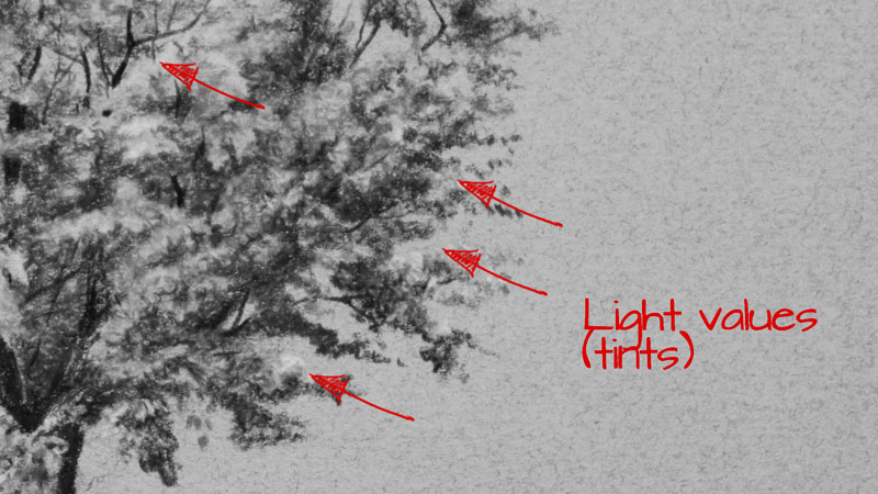 Light values on the tree