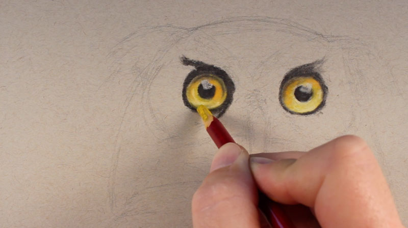 How to draw an owl with pastel pencils