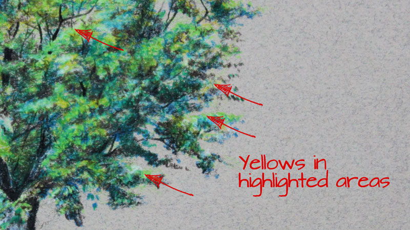 Yellows in highlighted areas