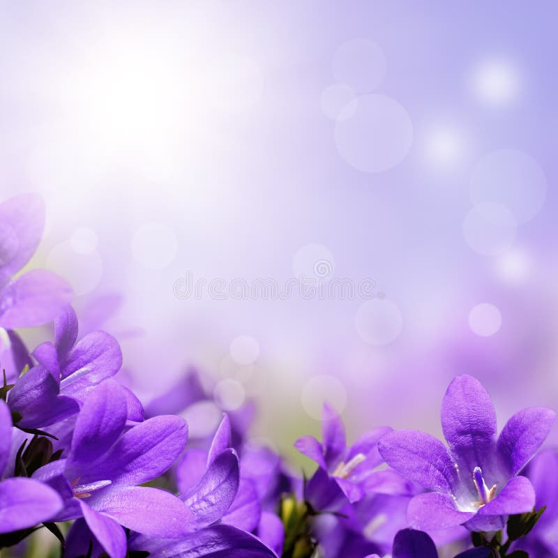 Abstract spring background with purple flowers stock photo
