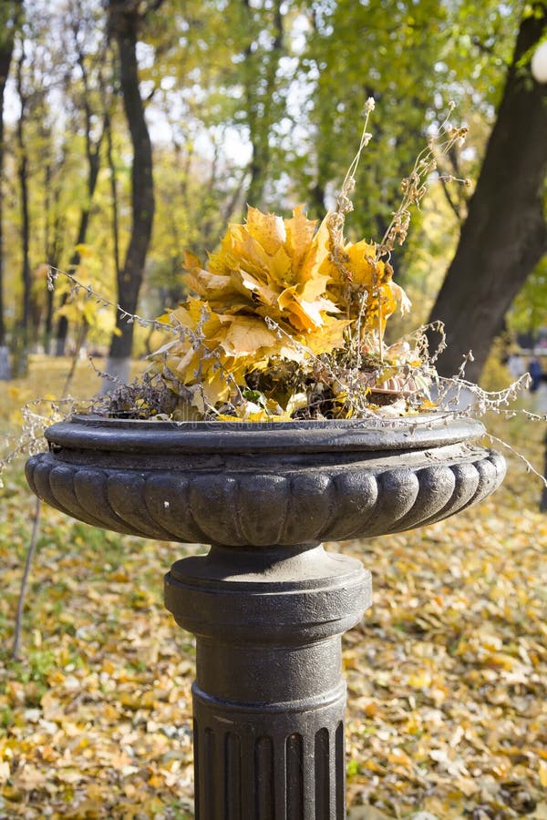 Antique cast-iron vase with autumn leaves in the garden. royalty free stock photo