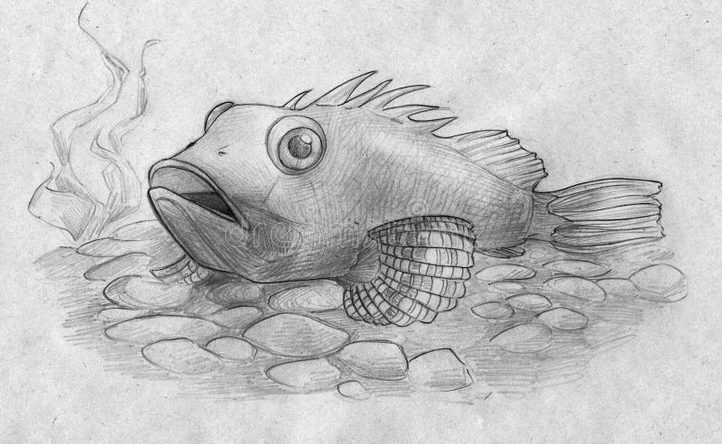 Aquarium fish among the peebles. Hand drawn pencil sketch of an aquarium fish resting on the bottom of the tank among decorative peebles and algae royalty free illustration