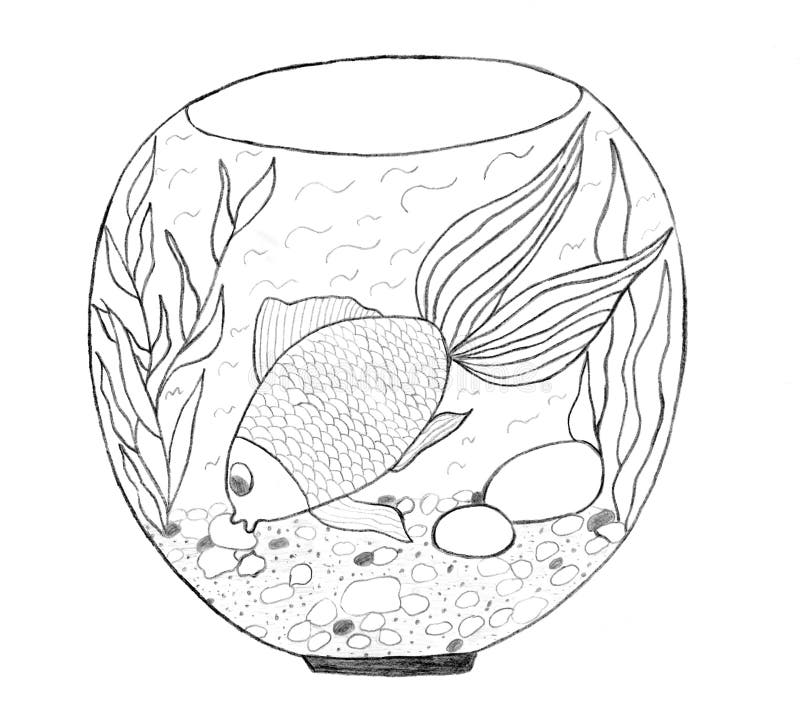 Aquarium sketch. On white background, pencil drawing, isolated stock illustration