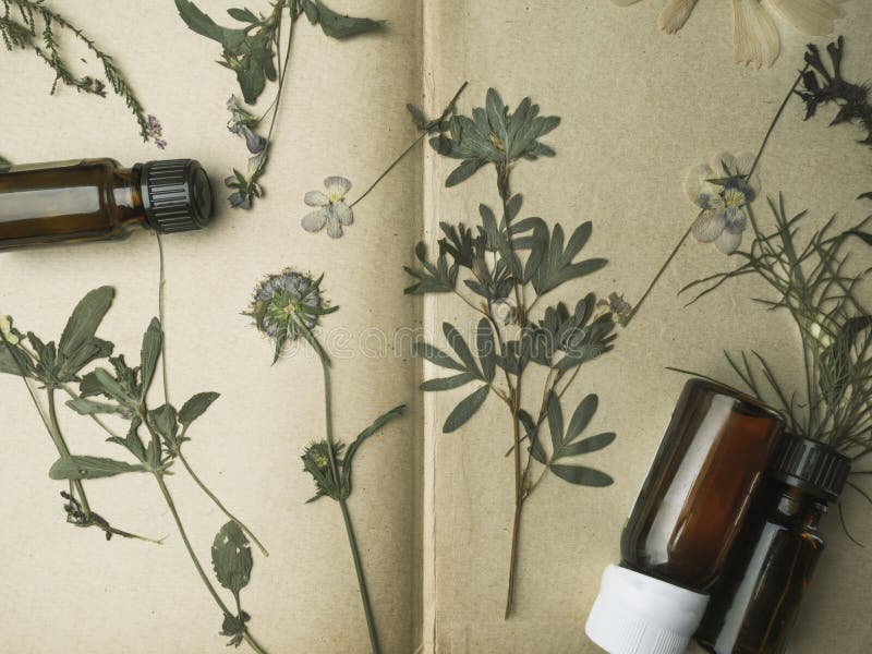 Aroma essential oil. Top view bottle among dried flowers, medicinal herbs. Natural cosmetic and skincare, herbal miscellany royalty free stock photography Aroma essential oil. Top view bottle among dried flowers, medicinal herbs. Natural cosmetic and skincare, herbal miscellany royalty free stock photography