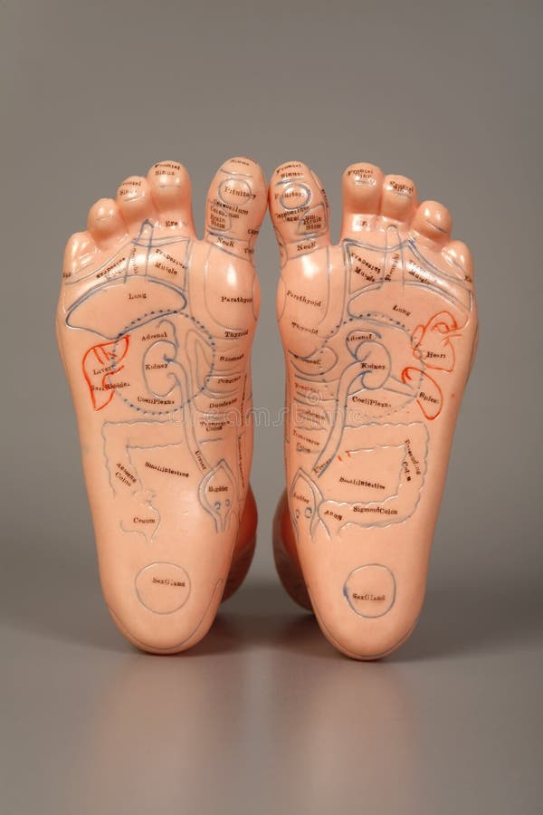 Artificial a foot. Artificial a foot with the image of points for acupuncture stock photos