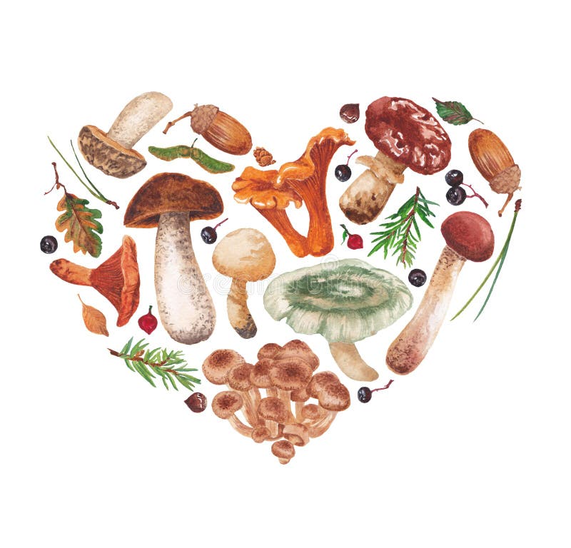 Autumn gifts in the form of heart. Mushrooms, berries, leaves, nuts. Autumn gifts in the form of heart royalty free illustration