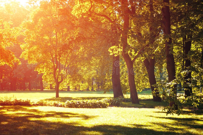 Autumn landscape, autumn park in with golden autumn trees lit by sunlight royalty free stock photos