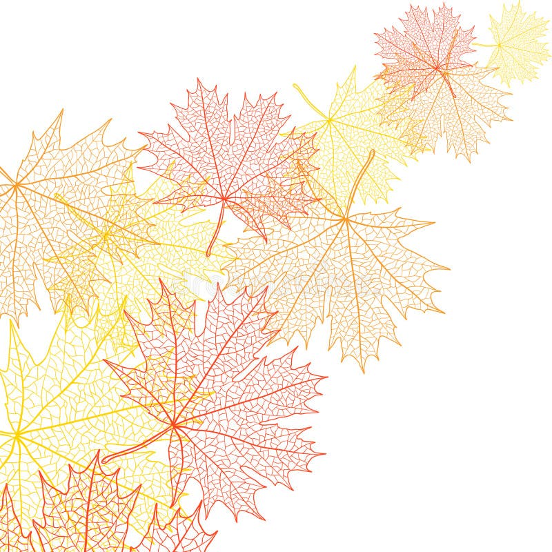 Autumn macro leaf of maple. Vector bacground stock illustration Autumn macro leaf of maple. Vector bacground stock illustration