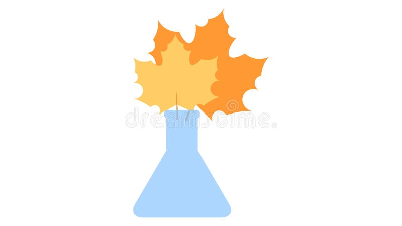 Autumn maple leaves in the vase vector illustration