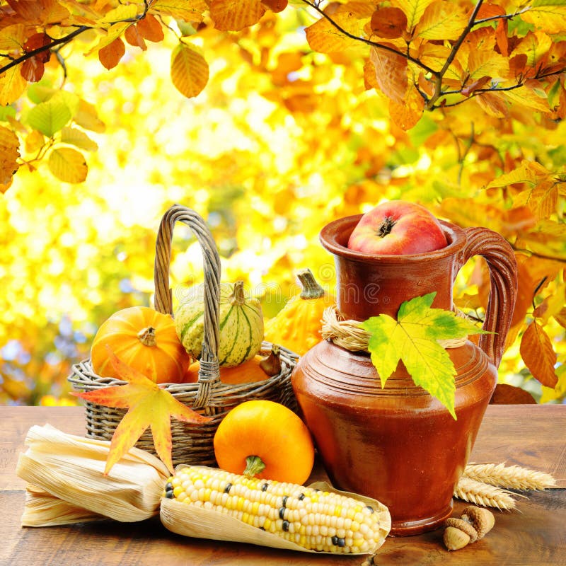 Autumn vegetables on golden forest background stock image