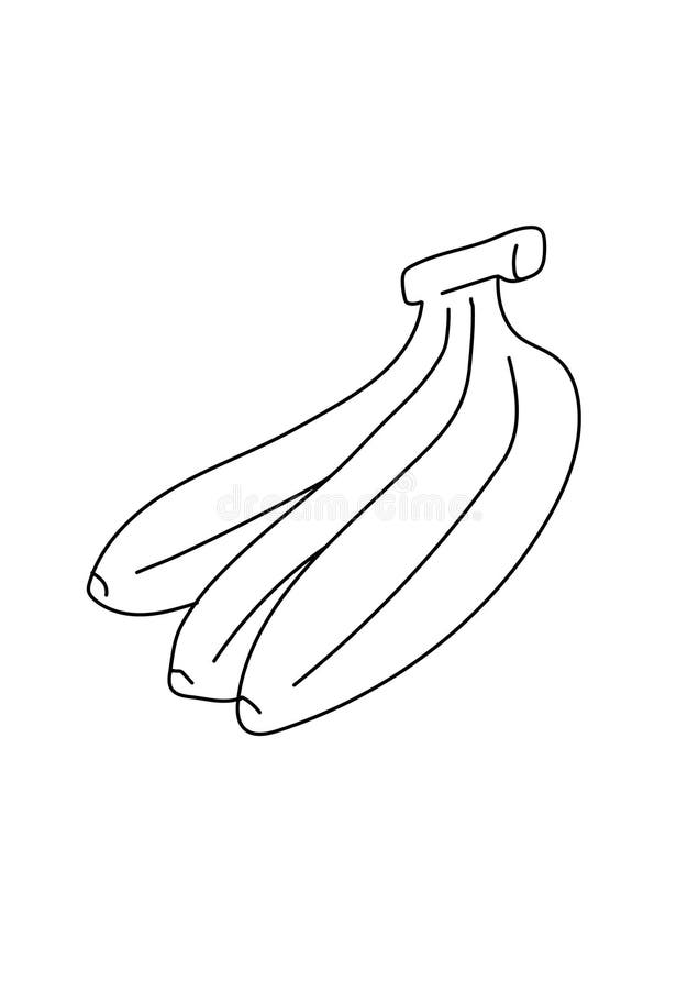 Banana fruit black and white lineart drawing illustration. Banana fruit black and white drawing illustration. Hand drawn coloring pages lineart illustration in royalty free illustration