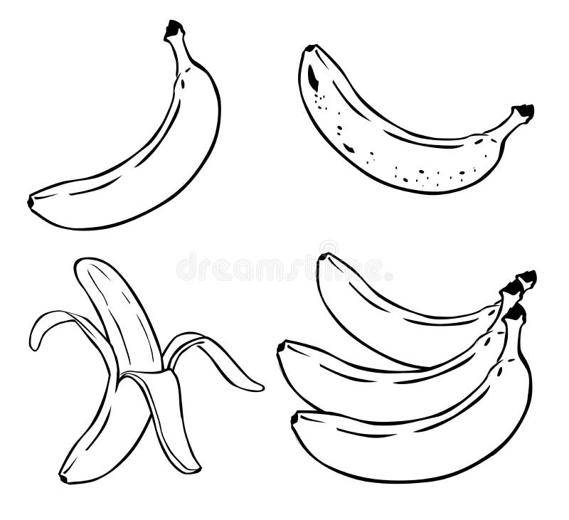 Banana Fruit Food. Cartoon Illustration of Banana Fruit Food Object eps 10 vector illustration