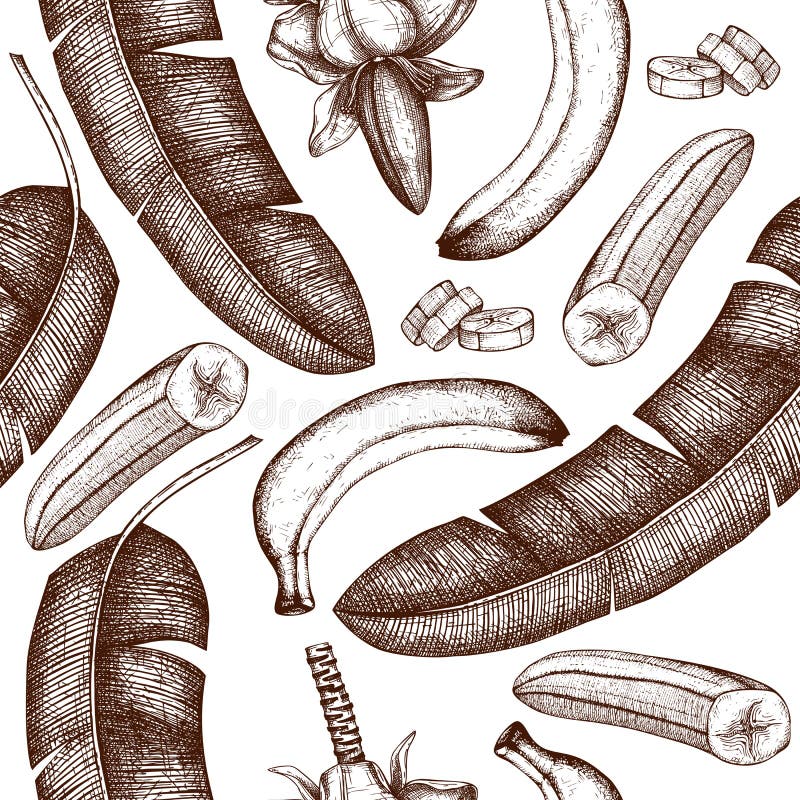 Banana hand drawn background. Banana flower, fruits, palm tree leaves seamless pattern. Tropical fruits vector drawings. Exotic. Plant vintage sketch. In vector illustration