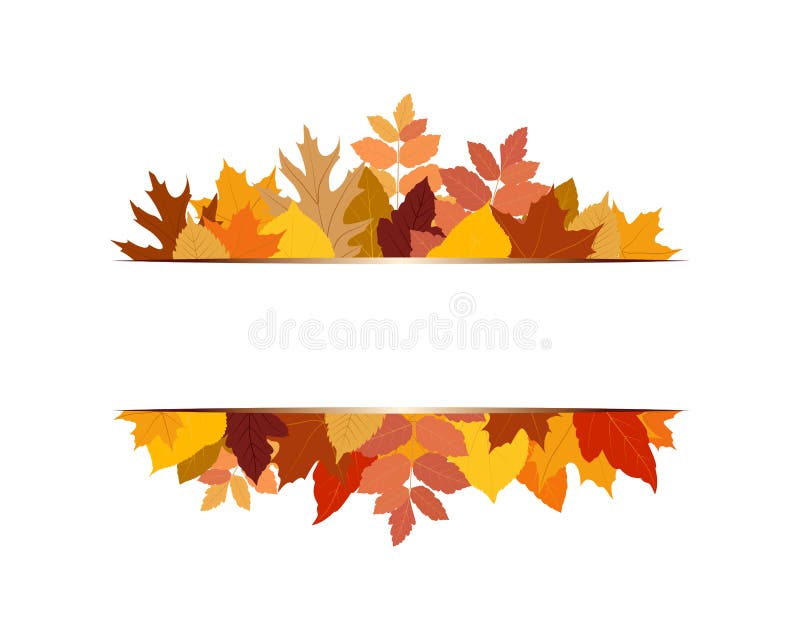 Vector illustration of various colorful autumn leaves with banner stock illustration